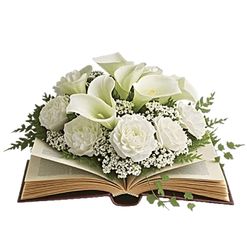 Elegant Calla Lilies