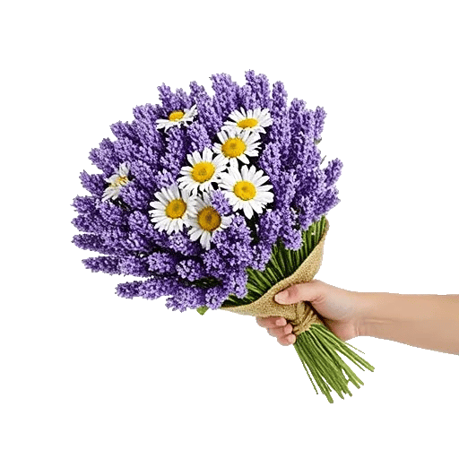Lavender Bloom Grace