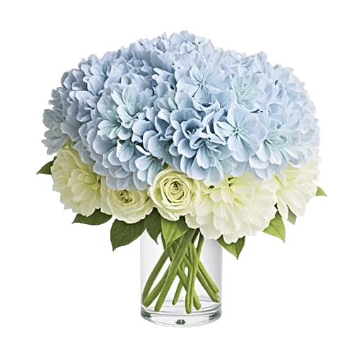 Blooming Serenity Display