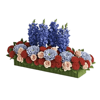 Serenity Blossom Grace