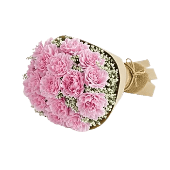 Pastel Pink Roses