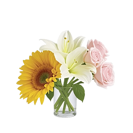 Blossom Harmony Display