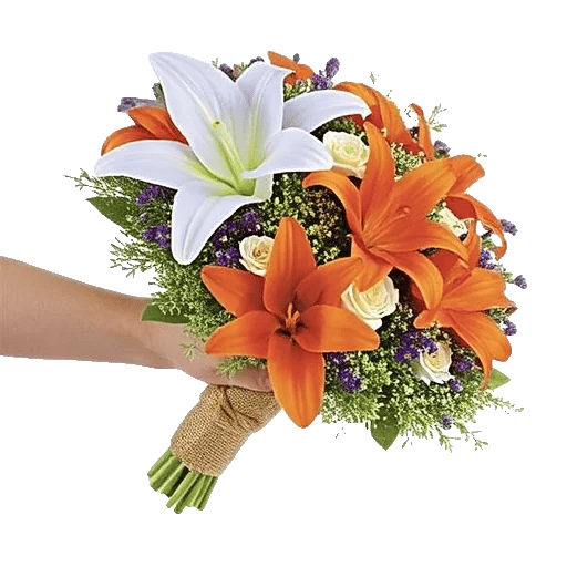 Blushing Rose Symphony