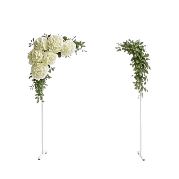 Ivory Blossom Radiance