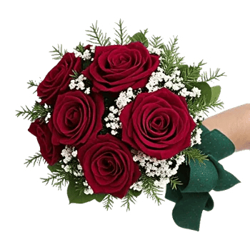 Crimson Rose Elegance