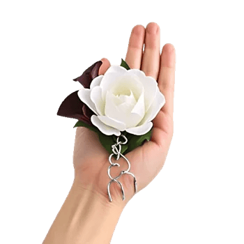 Elegant Calla Lilies