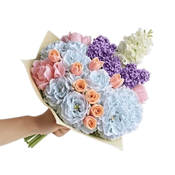 Serene Petal Harmony