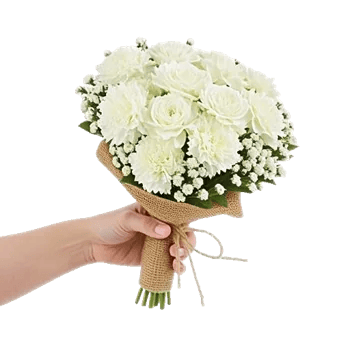 Delicate Petal Cascade