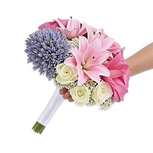 Blossom Petal Serenity