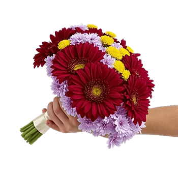 Crimson Blossom Harmony