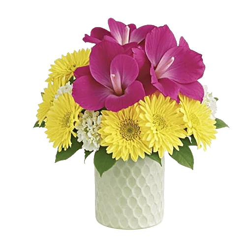 Petal Radiance Bliss