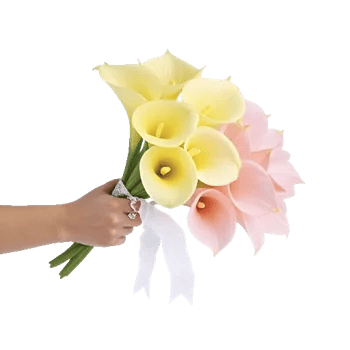 Elegant Calla Lilies
