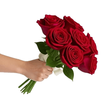 Crimson Rose Elegance