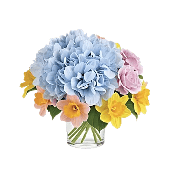 Azure Sky Blooms
