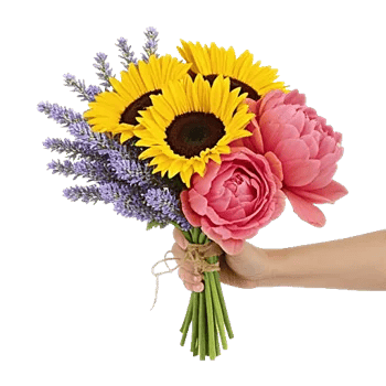 Twinkling Sunflower Dance