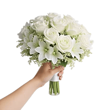 Ivory Blossom Radiance