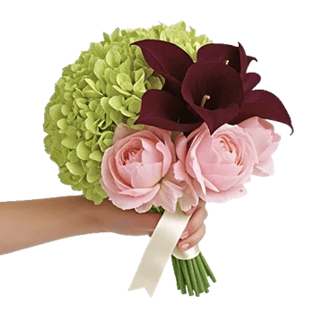 Petal Grace Harmony