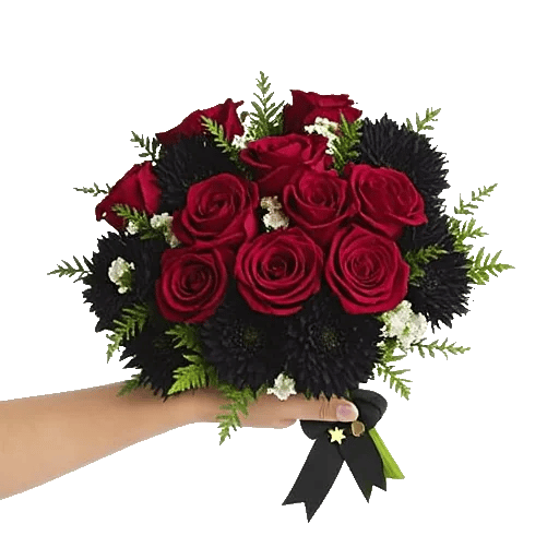 Blushing Rose Symphony