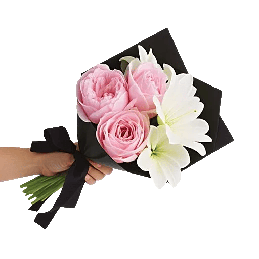 Peony Petal Harmony