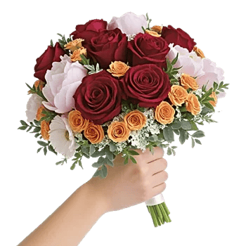 Crimson Rose Elegance