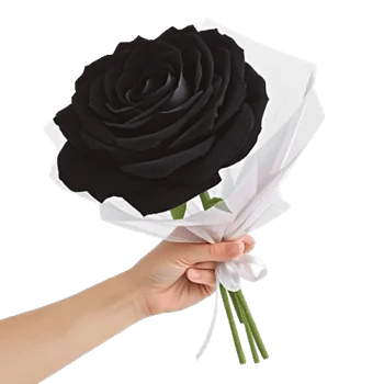 Crimson Rose Elegance