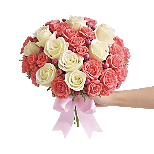 Pastel Pink Roses