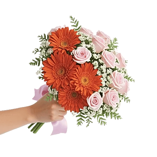 Petal Harmony Bliss