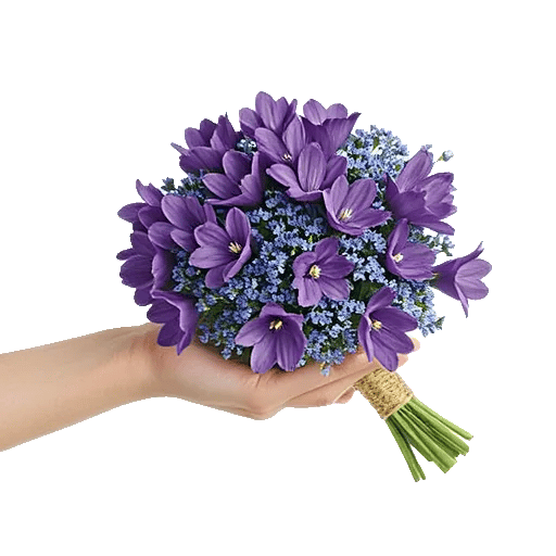 Pastel Blossom Grace