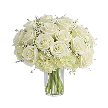 Ivory Blossom Radiance