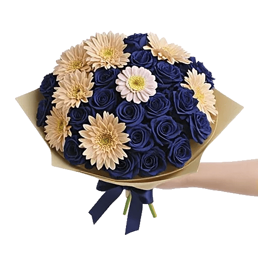 Serene Petal Harmony