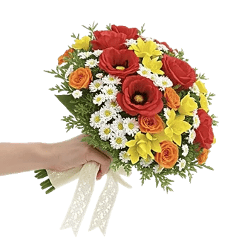 Blushing Rose Symphony