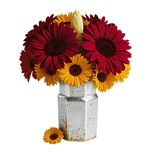 Crimson Blossom Harmony