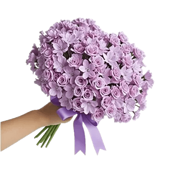 Honeyed Lilac Dream