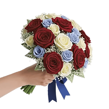 Blushing Rose Symphony