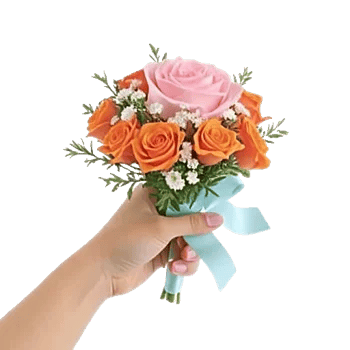 Pastel Pink Roses