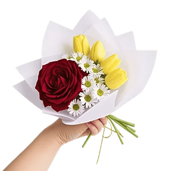 Crimson Rose Elegance