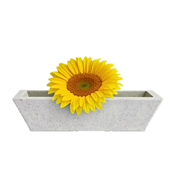Amber Sunflower Glow