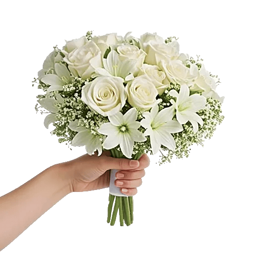 Ivory Blossom Radiance
