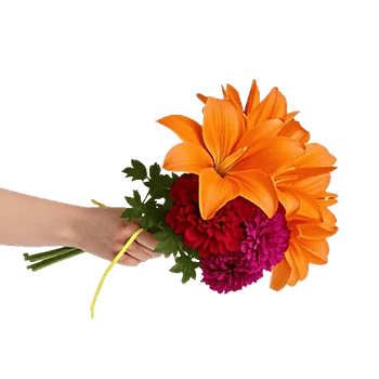 Petal Harmony Bliss