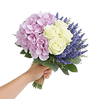 Serene Petal Harmony