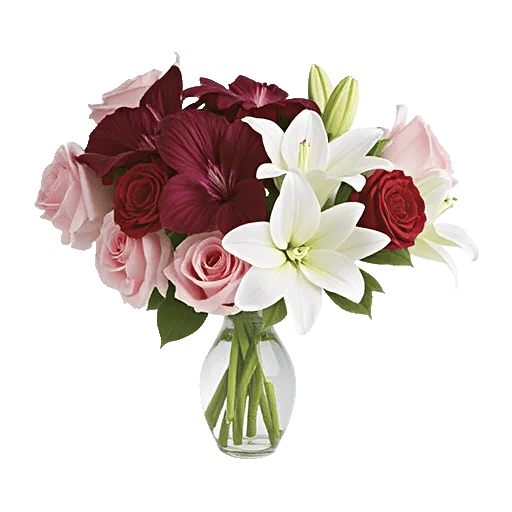 Blushing Rose Symphony