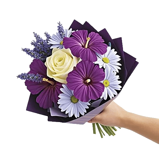 Serene Petal Harmony