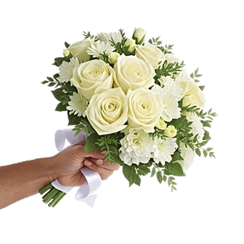 Ivory Garden Grace