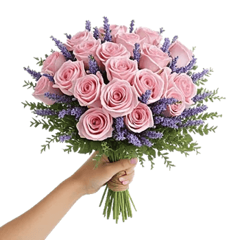 Pastel Pink Roses