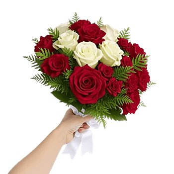 Crimson Rose Elegance