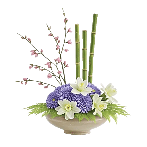 Ivory Blossom Radiance