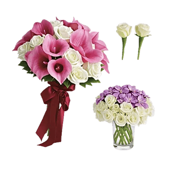 Elegant Calla Lilies