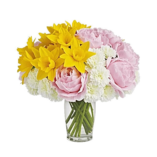 Petal Radiance Bliss