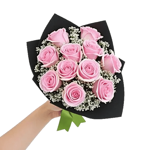 Pastel Pink Roses