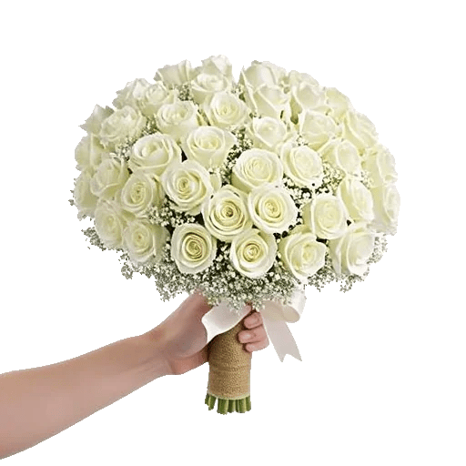 Ivory Garden Grace